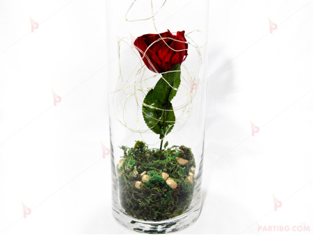 Вечна роза в стъклена ваза със светеща декорация