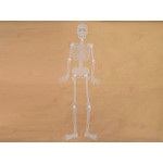 Украса за Хелоуин - скелет | PARTIBG.COM